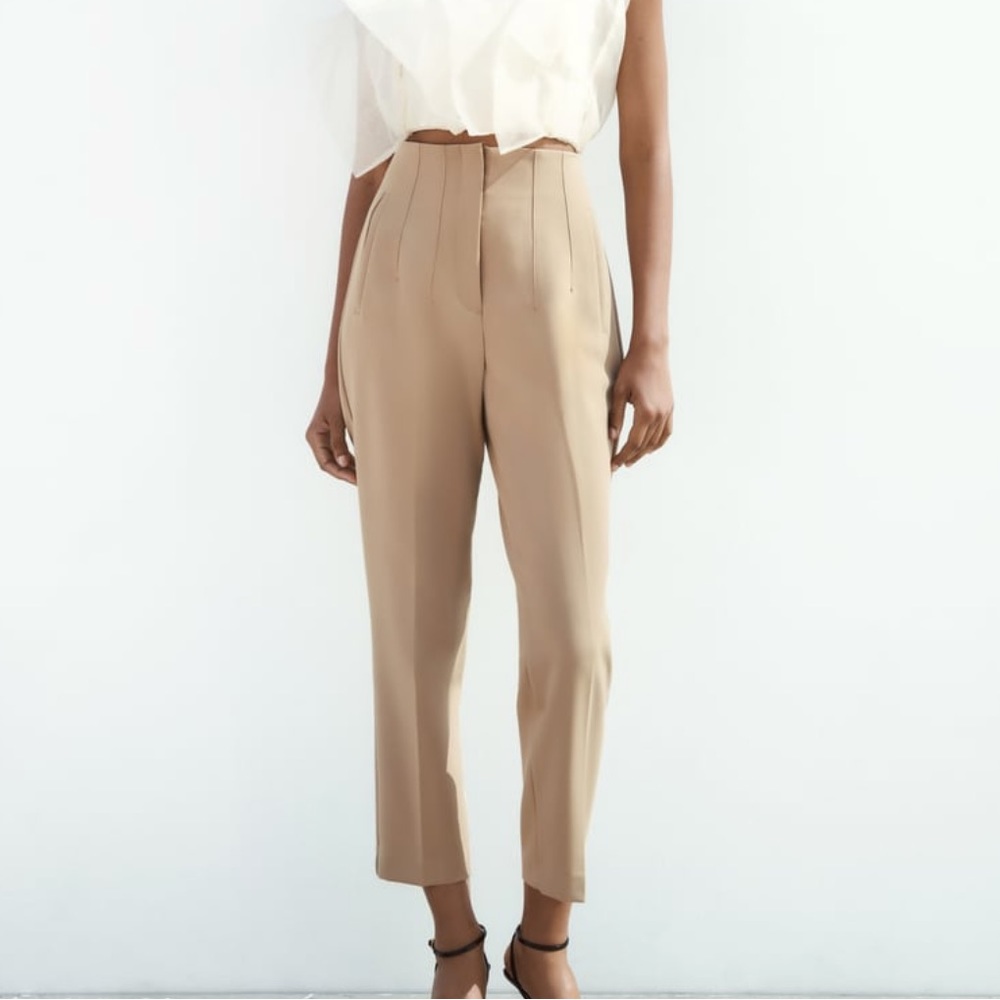 Zara High Waisted Pleated Work Plants